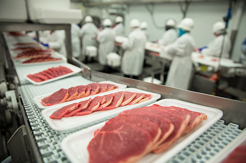 Meat and Seafood Industry