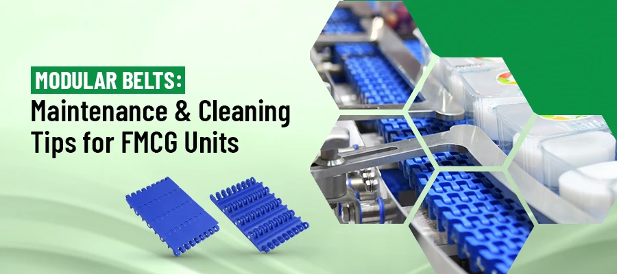 Modular Belts: Maintenance & Cleaning Tips for FMCG Units