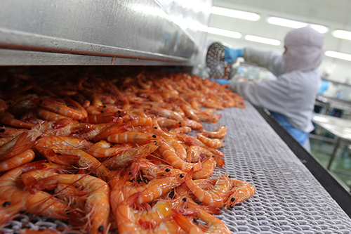 Meat and Seafood Industry 2